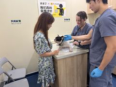-佩兹宠物医院肿瘤专科·眼科·牙科(黄浦店)