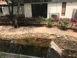 -爱帝宫月子中心(罗湖别墅院)