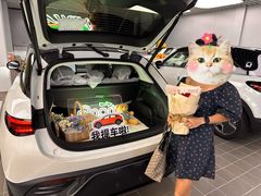 -上海浦东smart汽车全功能店(金桥店)