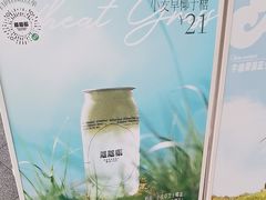 -蔻蔻椰·鲜萃椰子水(欢乐港湾店)