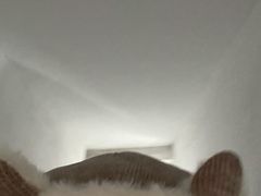 -关爱动物医院·心脏·中兽医·异宠(金牛路分院)