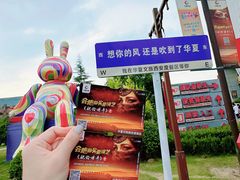 -《驼铃传奇》秀