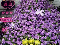 -特味村福园