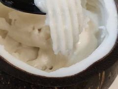 -志龙皇冠吃货椰子铺