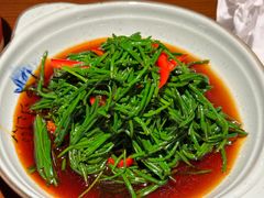 -左陕右甘(亚运村店)