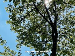 -洋湖国家湿地公园