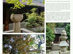 -沣峪森林公园龙潭戏水景区