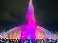 -秋水广场音乐喷泉