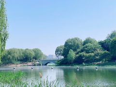 -大兴滨河森林公园