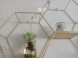 -凡碧诗毛孔收细