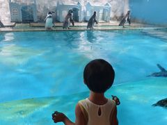 -北戴河圣蓝海洋公园