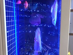 -华夏良子(京密路店)