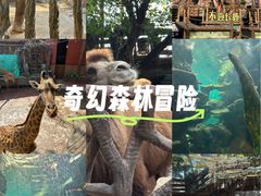 -长鹿旅游休博园