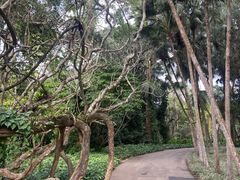 -中国科学院西双版纳热带植物园
