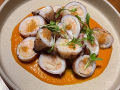 -OTIUM • 柴屿麦(亮马桥店)