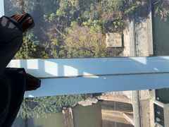 -客天下恐龙水晶玻璃桥