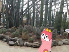 -南山植物园