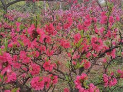 -城市运动公园(未央区)