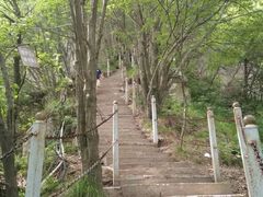 -陕西省红河谷森林公园