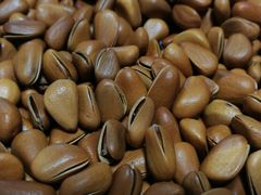 -小宝栗子(嘉华国际商业中心店)