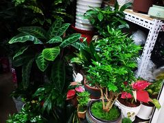 -三旗百汇商品城