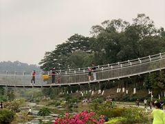 -东莞植物园