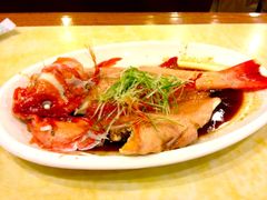 清蒸东星斑-新发记港式茶餐厅(黄浦店)