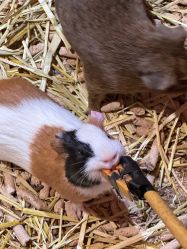 -Zoolung Zoolung动物主题公园(海信广场店)