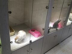 -乐宠宠物店(世纪金源店)