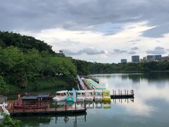 -广东花都湖国家湿地公园