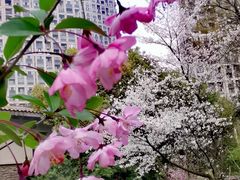 -浙江大学(玉泉校区)