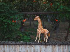 -大兴滨河森林公园