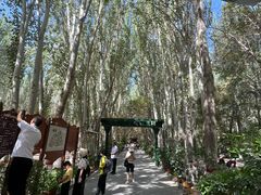 -艾提尕尔清真寺