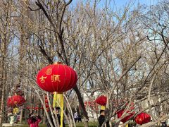 -达活泉公园