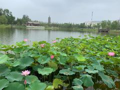 -西海子公园