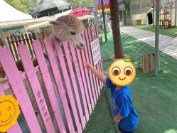 -萌宠亲子动物乐园(槐房万达店)