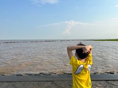 -南汇嘴观海公园