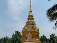 -瑞丽独树成林风景区