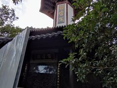 -上海佘山国家森林公园天马山园