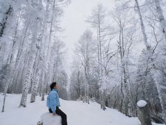 -洛阳白云山景区