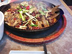 -老板恋上鱼(恒隆广场店)