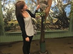 -费瑟代尔野生动物园