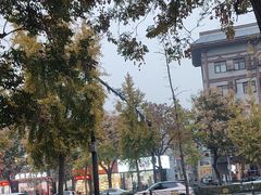 -一记洛阳菜·糖醋小排·水席(十字街店)