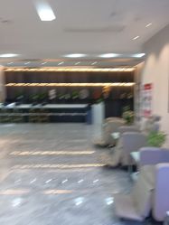 -碧莲盛·不剃发植发