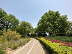 -康庄公园