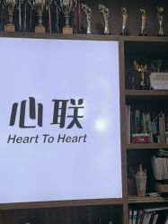 -心联形象设计·流星染