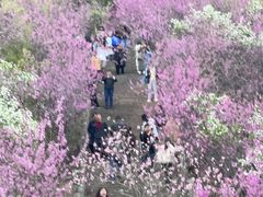 -天台山赤城山景区