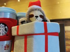 -星巴克(北辰西路店)