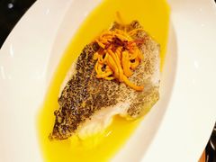 虫草花蒸石斑-小运河·公馆(国贸店)