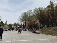 -元大都城垣遗址公园